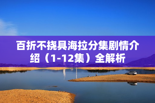 百折不挠具海拉分集剧情介绍（1-12集）全解析