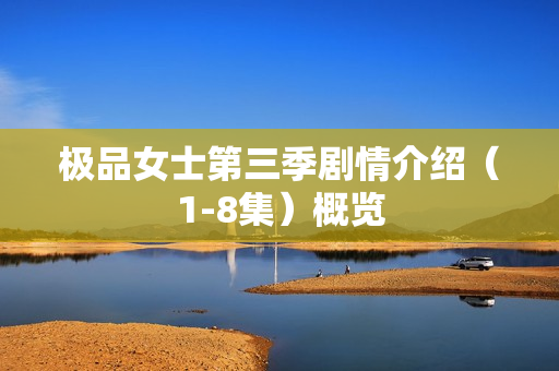 极品女士第三季剧情介绍（1-8集）概览