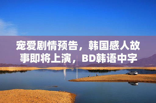 宠爱剧情预告，韩国感人故事即将上演，BD韩语中字版揭晓