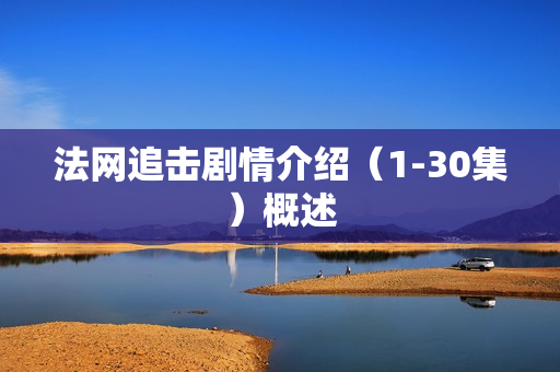 法网追击剧情介绍（1-30集）概述