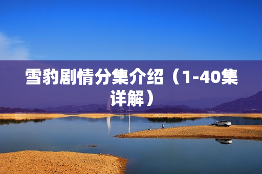 雪豹剧情分集介绍（1-40集详解）