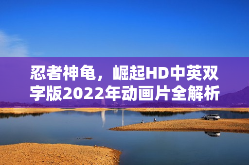 忍者神龟，崛起HD中英双字版2022年动画片全解析