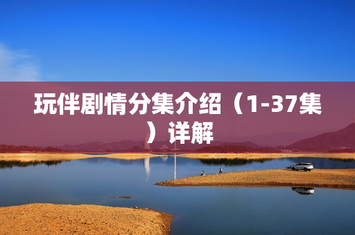 玩伴剧情分集介绍（1-37集）详解