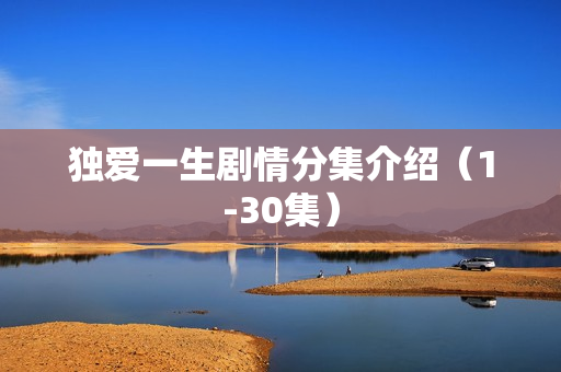 独爱一生剧情分集介绍（1-30集）