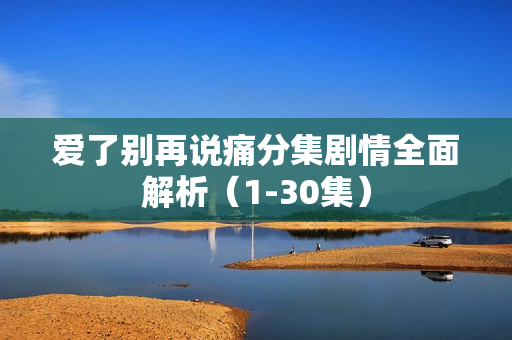 爱了别再说痛分集剧情全面解析（1-30集）