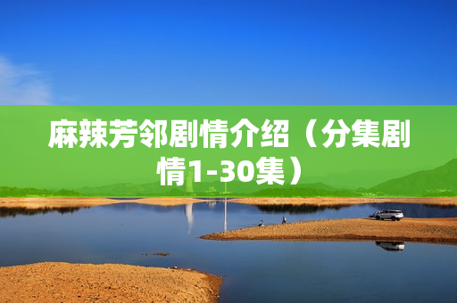 麻辣芳邻剧情介绍（分集剧情1-30集）