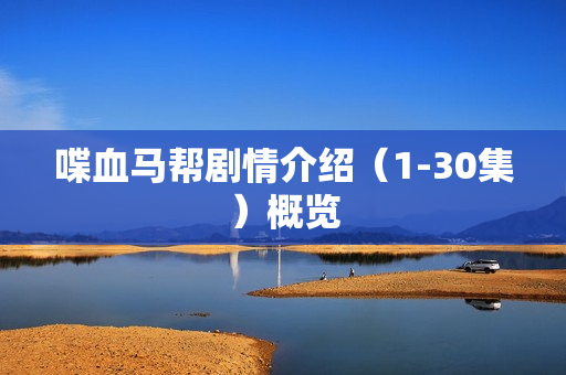 喋血马帮剧情介绍（1-30集）概览