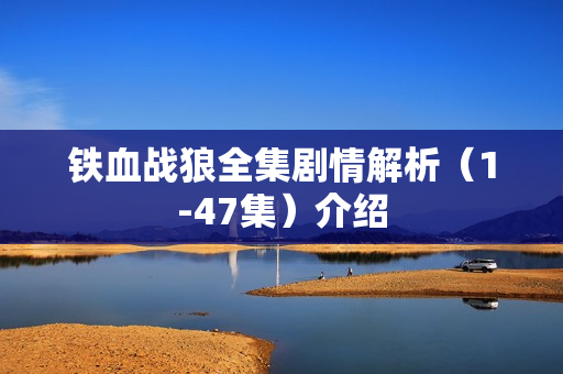 铁血战狼全集剧情解析（1-47集）介绍