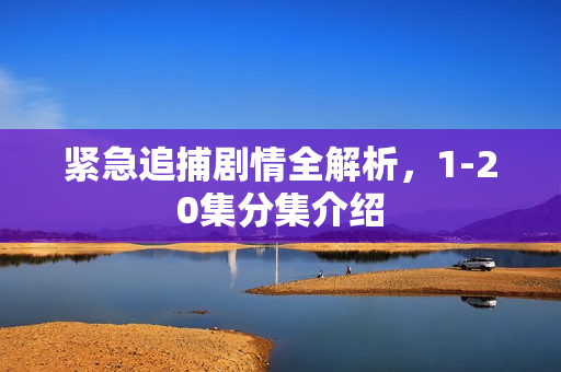 紧急追捕剧情全解析，1-20集分集介绍