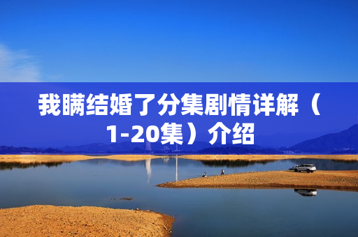 我瞒结婚了分集剧情详解（1-20集）介绍