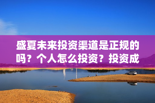 盛夏未来投资渠道是正规的吗？个人怎么投资？投资成本是多少？(盛夏未来能投吗)