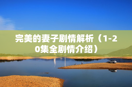 完美的妻子剧情解析（1-20集全剧情介绍）