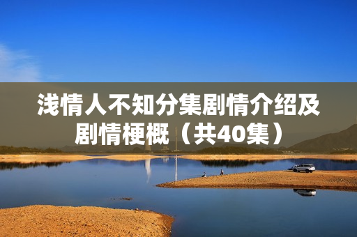 浅情人不知分集剧情介绍及剧情梗概(共40集) 浅情人不知分集剧情介绍及剧情梗概(共40集)