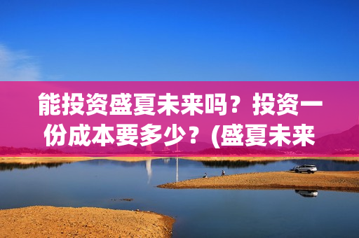 能投资盛夏未来吗？投资一份成本要多少？(盛夏未来电影投资项目)