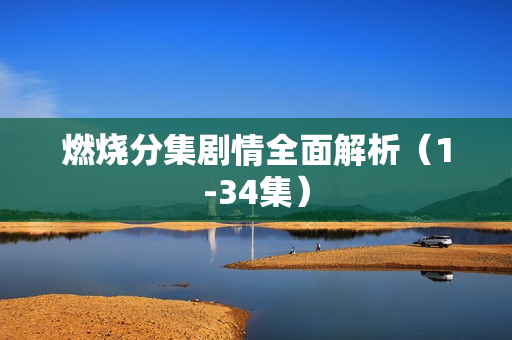 燃烧分集剧情全面解析（1-34集）