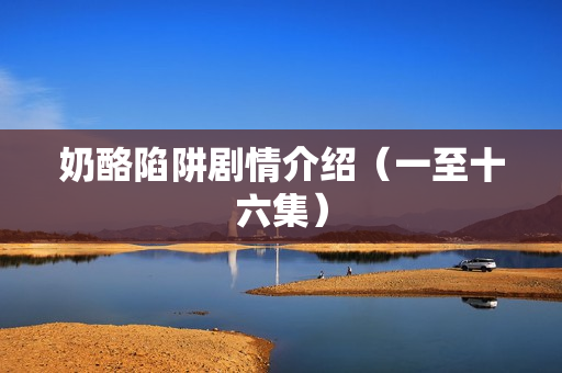 奶酪陷阱剧情介绍（一至十六集）