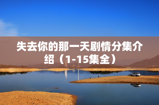 失去你的那一天剧情分集介绍（1-15集全）