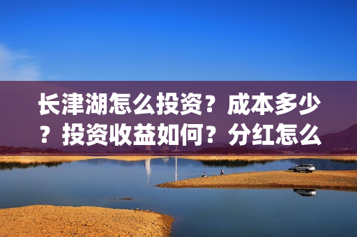 长津湖怎么投资？成本多少？投资收益如何？分红怎么分？(长津湖的投资额)