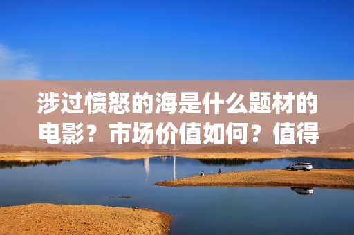 涉过愤怒的海是什么题材的电影？市场价值如何？值得个人投资吗？(涉过愤怒的海是哪年拍的)