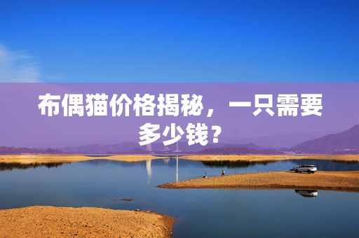 布偶猫价格揭秘，一只需要多少钱？