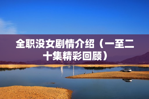 全职没女剧情介绍（一至二十集精彩回顾）