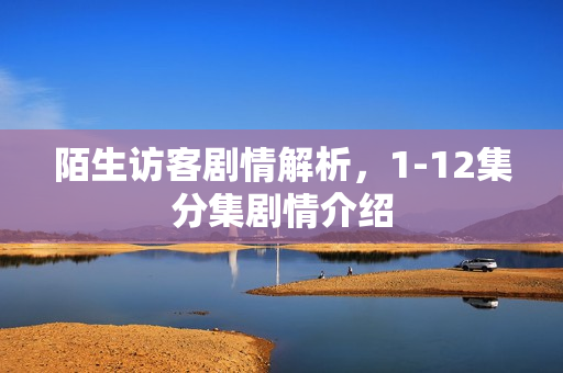 陌生访客剧情解析，1-12集分集剧情介绍