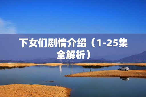 下女们剧情介绍（1-25集全解析）