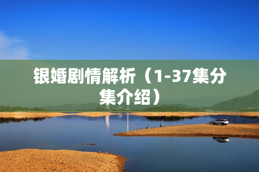 银婚剧情解析（1-37集分集介绍）