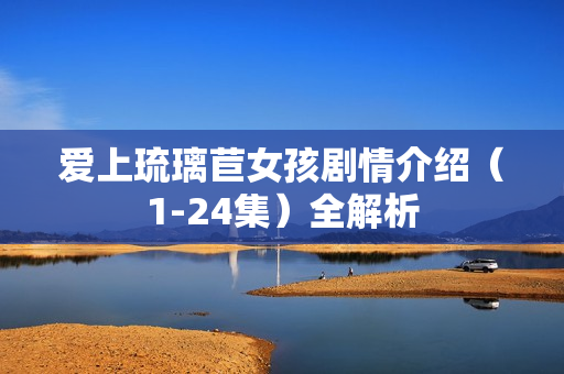 爱上琉璃苣女孩剧情介绍（1-24集）全解析