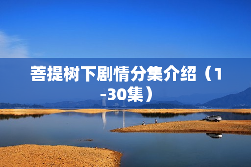 菩提树下剧情分集介绍（1-30集）