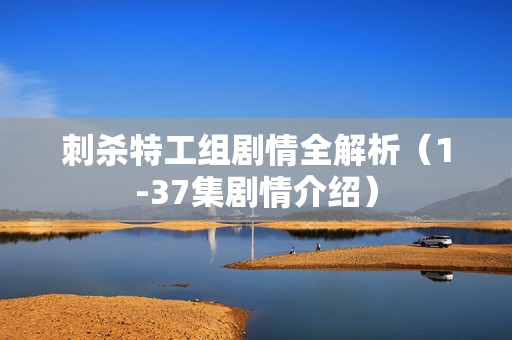 刺杀特工组剧情全解析(1-37集剧情介绍) 刺杀特工组剧情全解析(1-37集剧情介绍)