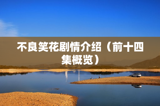 不良笑花剧情介绍（前十四集概览）