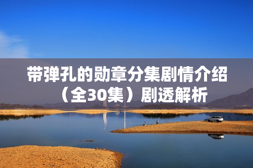 带弹孔的勋章分集剧情介绍（全30集）剧透解析