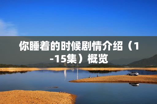 你睡着的时候剧情介绍（1-15集）概览