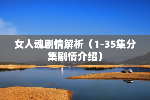 女人魂剧情解析（1-35集分集剧情介绍）