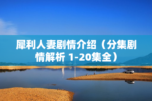 犀利人妻剧情介绍（分集剧情解析 1-20集全）