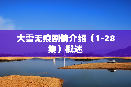 大雪无痕剧情介绍（1-28集）概述