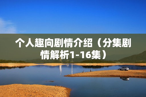 个人趣向剧情介绍（分集剧情解析1-16集）