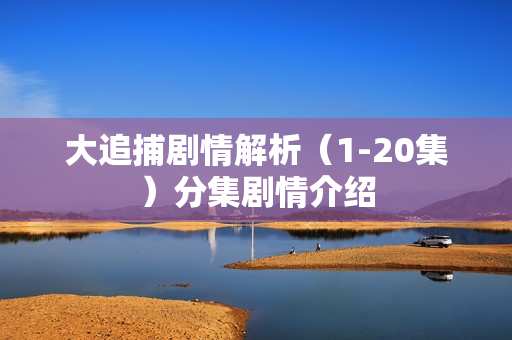 大追捕剧情解析（1-20集）分集剧情介绍