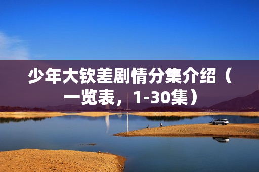 少年大钦差剧情分集介绍（一览表，1-30集）