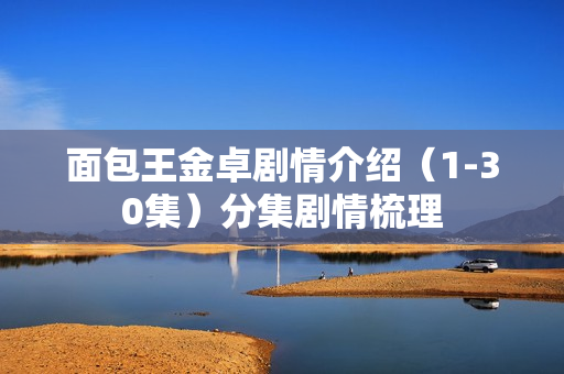 面包王金卓剧情介绍（1-30集）分集剧情梳理