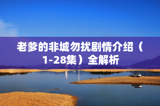老爹的非城勿扰剧情介绍（1-28集）全解析