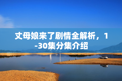 丈母娘来了剧情全解析，1-30集分集介绍