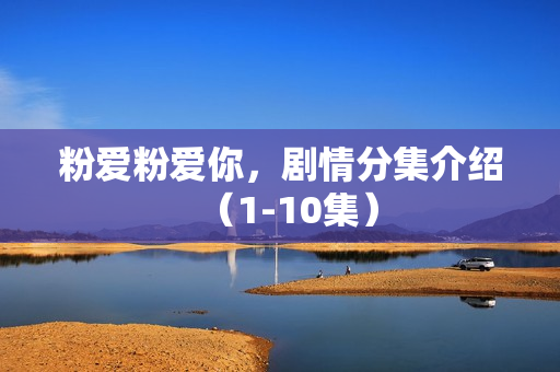 粉爱粉爱你，剧情分集介绍（1-10集）