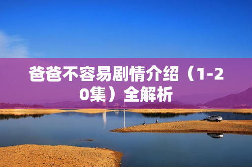 爸爸不容易剧情介绍（1-20集）全解析