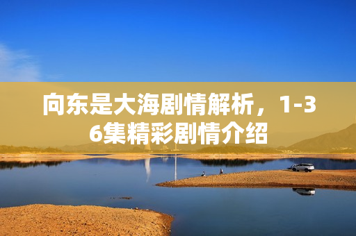 向东是大海剧情解析，1-36集精彩剧情介绍