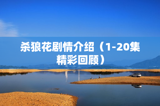 杀狼花剧情介绍（1-20集精彩回顾）