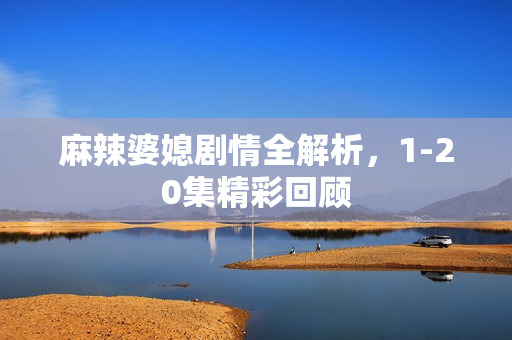 麻辣婆媳剧情全解析，1-20集精彩回顾