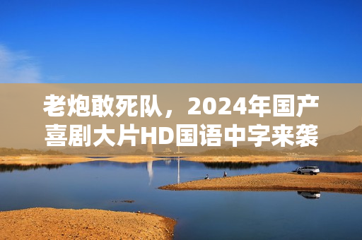 老炮敢死队，2024年国产喜剧大片HD国语中字来袭