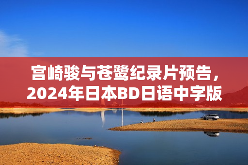 宫崎骏与苍鹭纪录片预告，2024年日本BD日语中字版发布